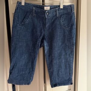 Free People denim jorts